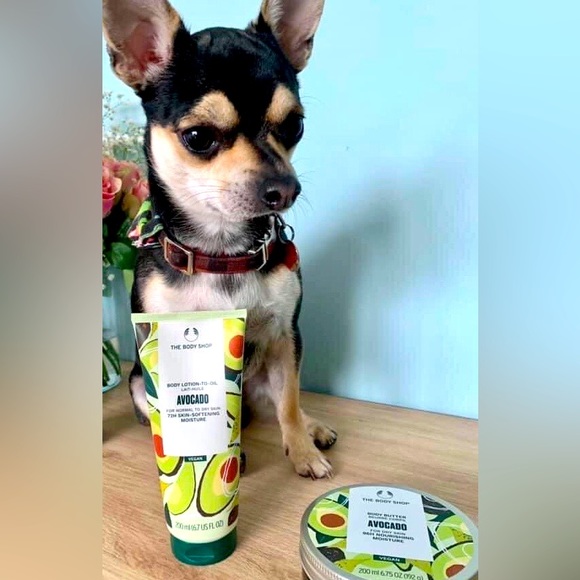 The Body Shop Other - 🥑NEW Avocado Set (includes body butter & body-to-lotion-oil), The Body Shop